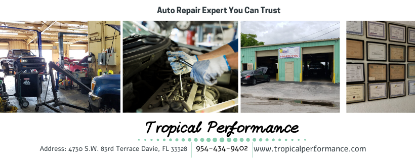 Tropical Performance | Davie, FL 33328