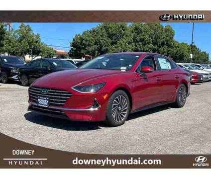 2023 Hyundai Sonata Hybrid SEL for Sale