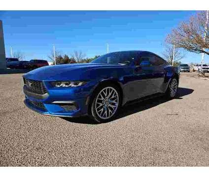 2024New Ford New Mustang New Fastback for Sale