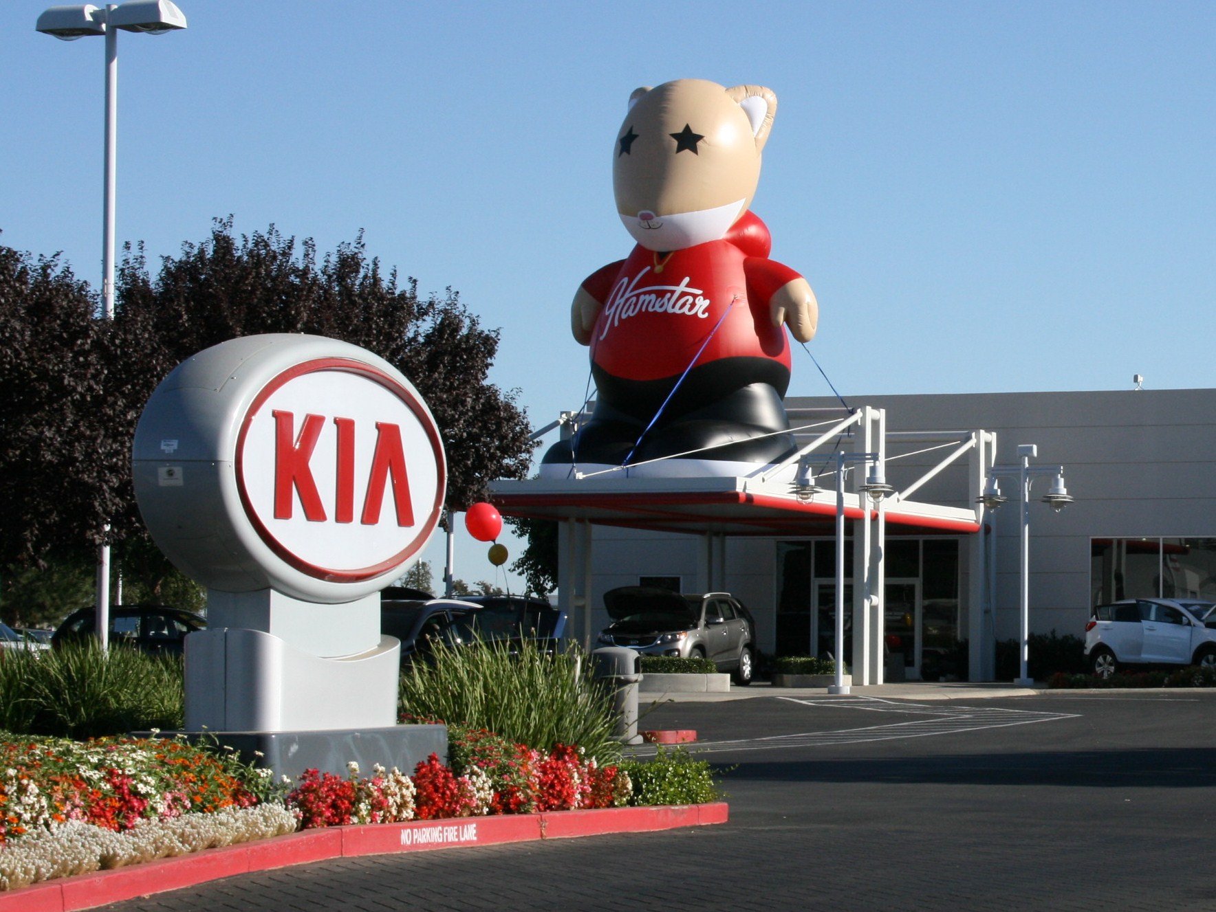 Elk Grove Kia in Elk Grove, CA 95757