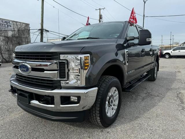 2019 Ford Super Duty F-250 SRW 4WD XLT Crew Cab for Sale