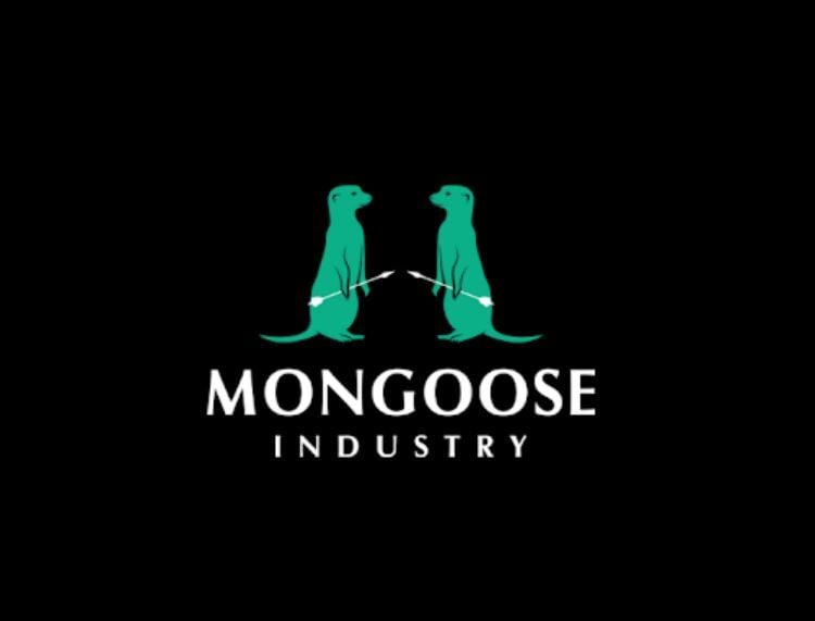 Mongoose Auto Repair Shop | New Haven, CT 06513