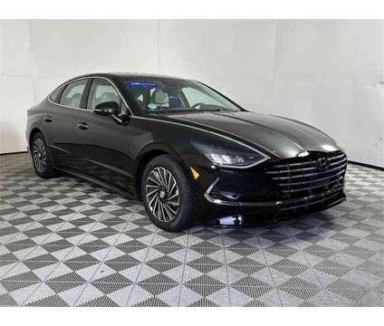 2023 Hyundai Sonata Hybrid SEL for Sale