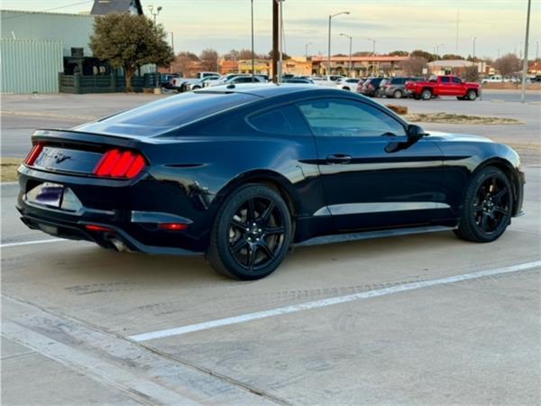 2019 Ford Mustang Eco Boost Coupe for Sale