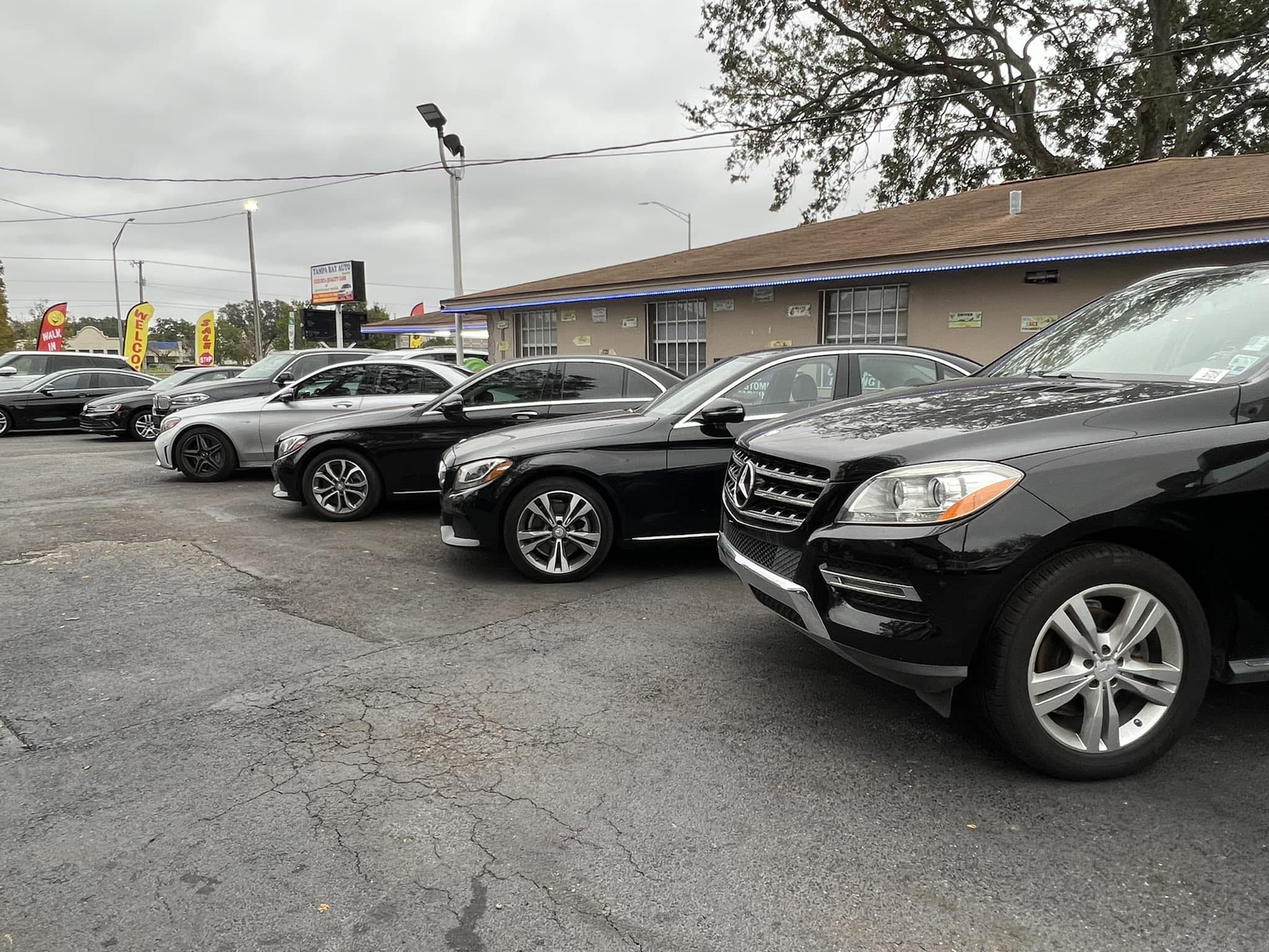 Tampa Bay Auto Experts Inc in Tampa, FL 33614