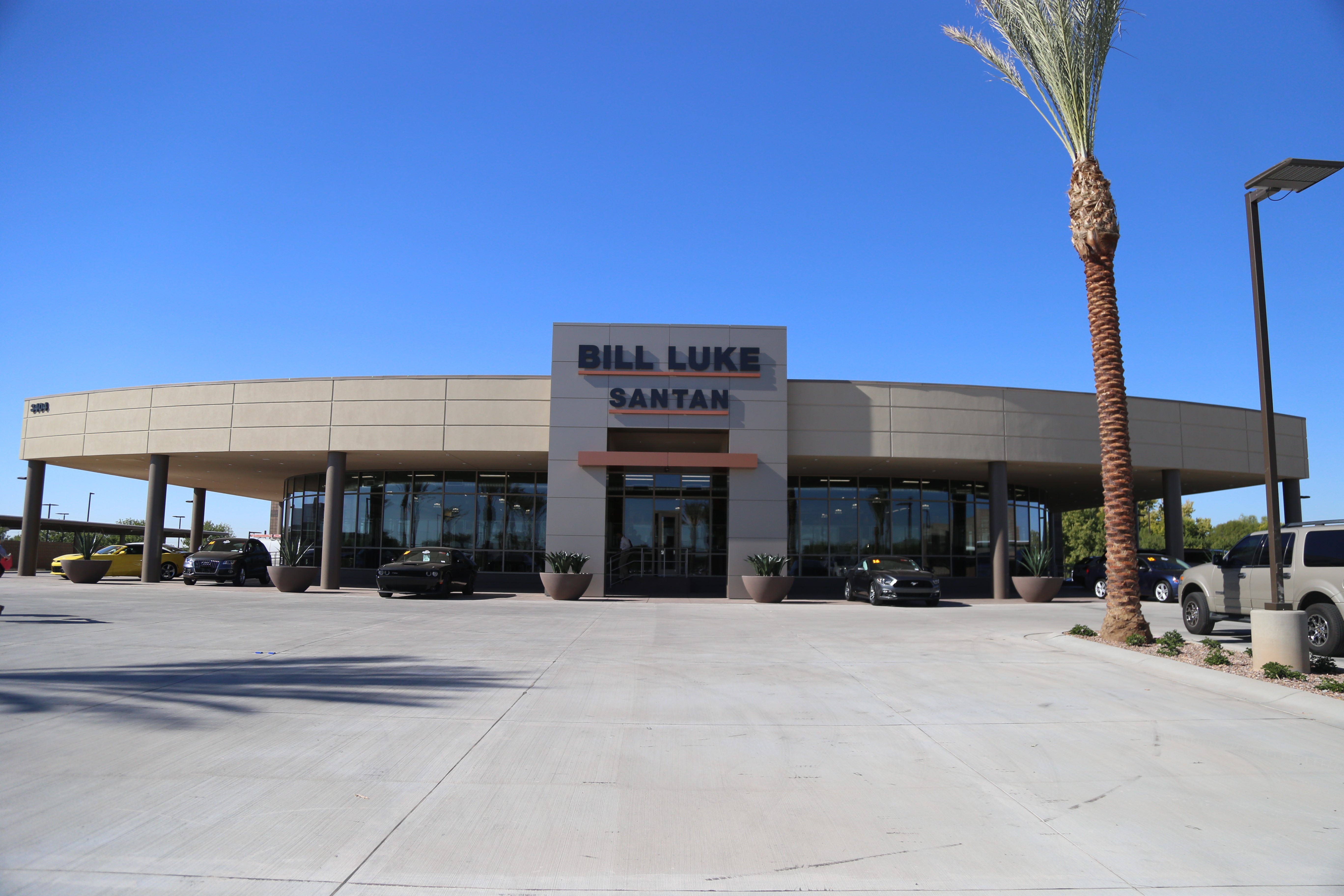 Bill Luke Santan in Gilbert, AZ 85297