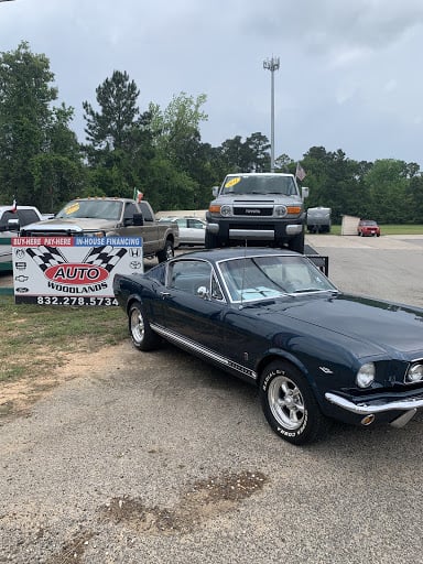 Auto Woodlands Inc in Magnolia, TX 77354