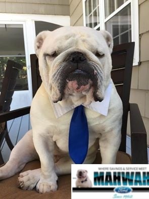 Mahwah Ford Sales & Service in Mahwah, NJ 07430