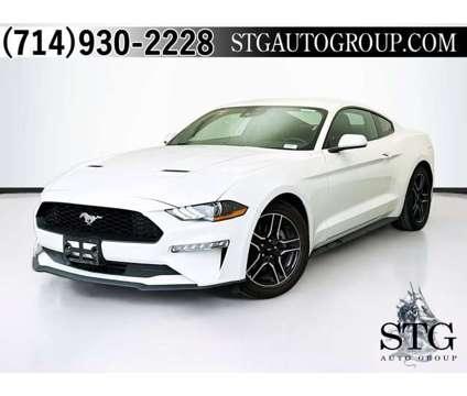 2023 Ford Mustang Eco Boost Premium for Sale