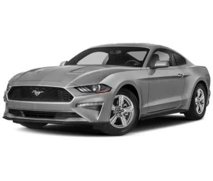 2019 Ford Mustang Eco Boost Premium for Sale
