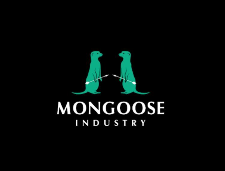 Mongoose Auto Repair Shop | New Haven, CT 06513