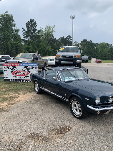 Auto Woodlands Inc in Magnolia, TX 77354