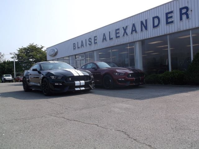 Blaise Alexander Ford of Mansfield in Mansfield, PA 16933