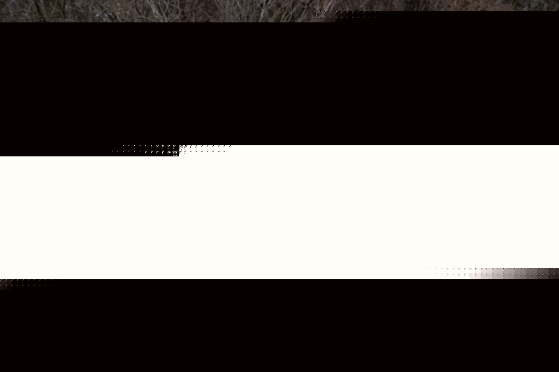 2019 Mercedes-Benz GLS 450 4MATIC SUV for sale